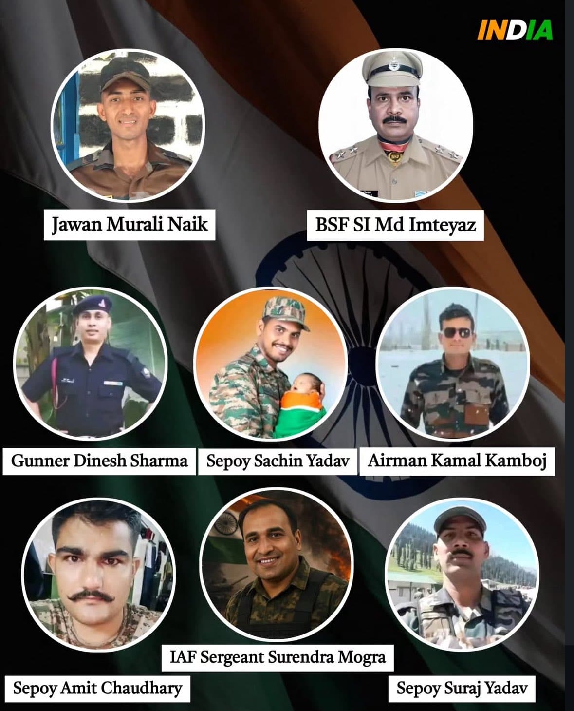 Security forces martyred visualization